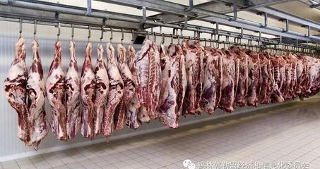 锡盟羊肉价格上扬 优质肉制品的价值回归